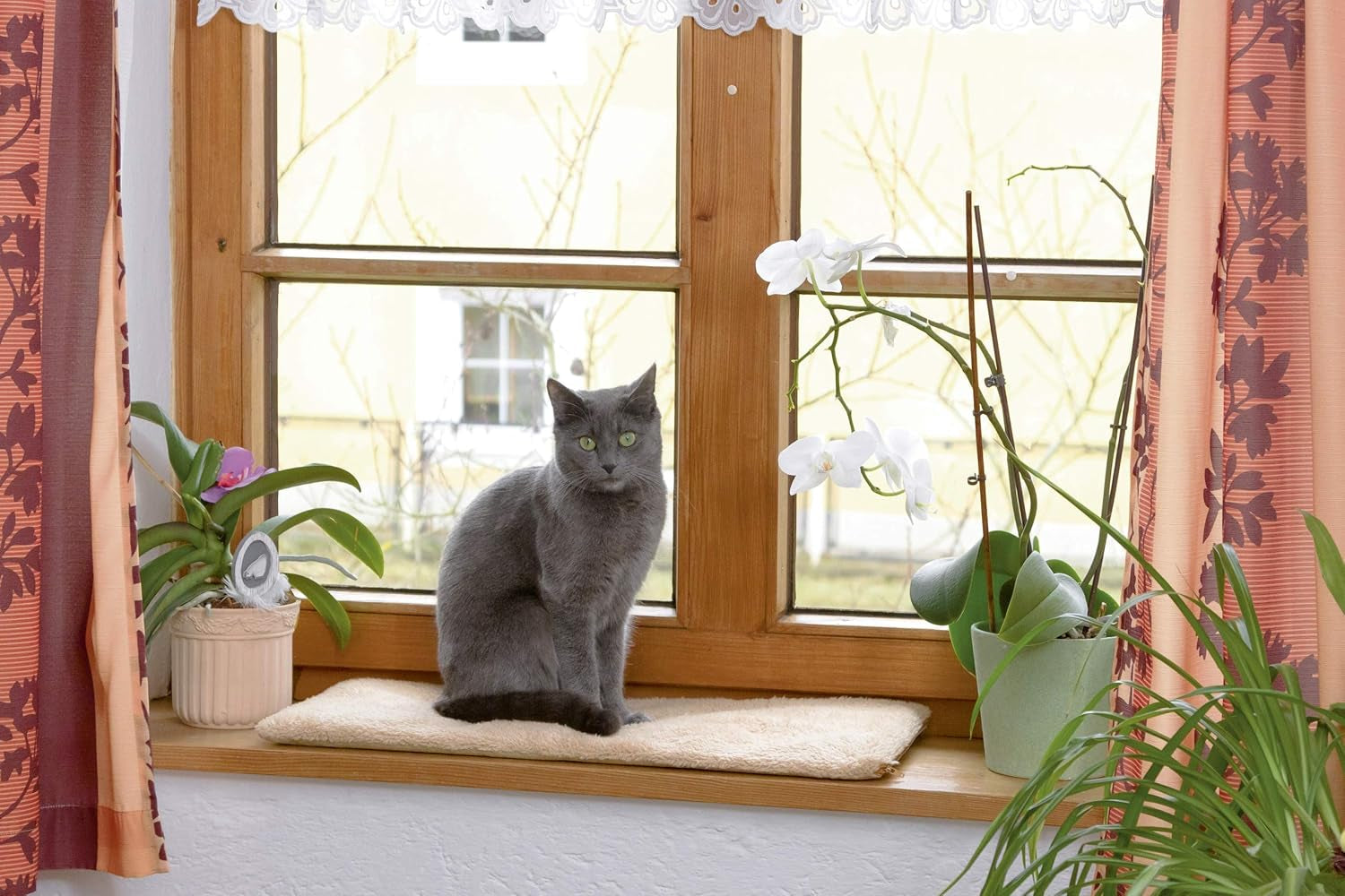Filtar och möbler, husdjur, katter, sängar för katter, skrapa mattor, katter - sängar, madrasser