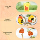 Torkad grapefruktskivor, torkad grapefrukt, vasfyllmedel, juldekorationer, röda grapefruktskivor, torkade fruktskivor för te, utan tillsatt socker (100 g (1 förpackning)) Naty Shop torkade produkter