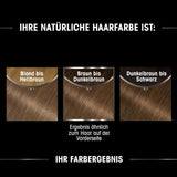 Garnier Olia Hair Color 6.0 Light Brown + True Treasures Repair Treatment (340ml) för skadat hår - färgning utan ammoniak, naturliga oljor, täcker grått hår, honung och bivax, mindre brott Hårfärgning Naty Shop