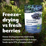 LOOV ekologiskt vilda blåbärspulver - 29 dagars tillförsel 171 g Bra för smoothies och frukost Frystorkade norra Europa utan tillsatt socker Naty Shop Dehydrerade produkter
