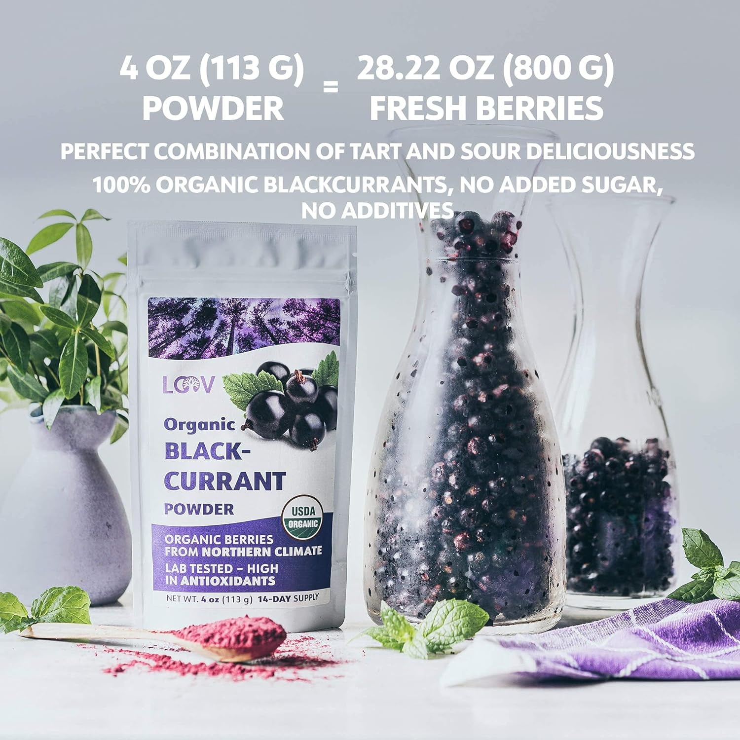 LOOV ekologiskt svart vinbärspulver, tillverkat av 100 % hela svarta vinbär, frystorkade och pulveriserade ekologiska bär, odlat i norra Europa, utan tillsatt socker, 113 g Naty Shop torkade produkter