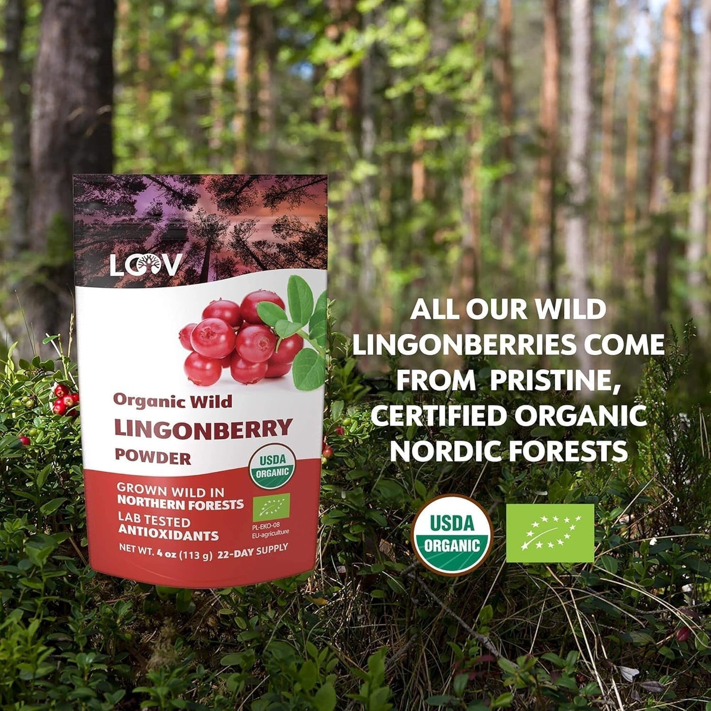 LOOV ekologiskt blåbärspulver, tillverkat av 100 % hela, frystorkade vilda blåbär skördade i skogarna i norra Europa, 113 g, utan tillsatt socker Naty Shop Dehydrated Products