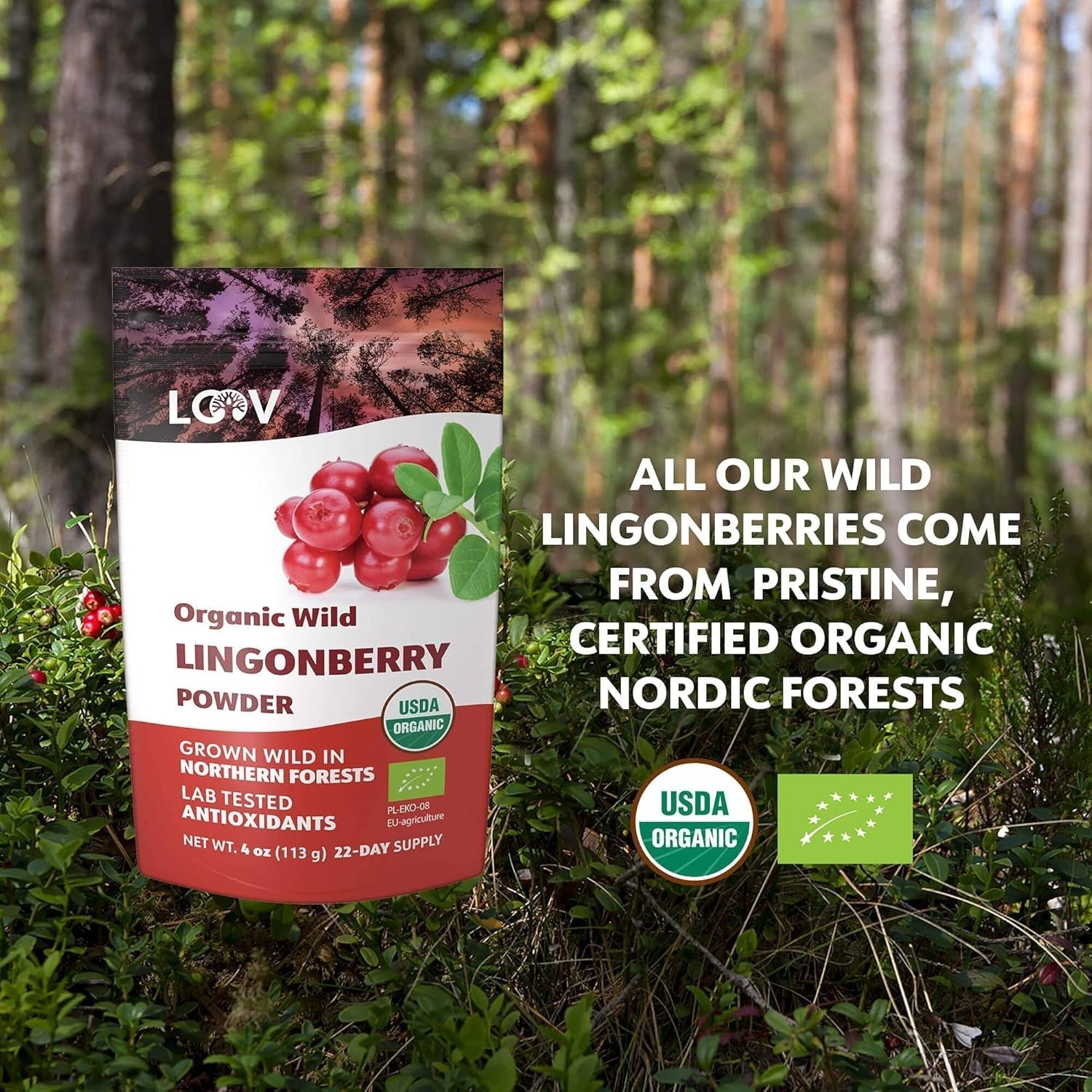 LOOV ekologiskt blåbärspulver, tillverkat av 100 % hela, frystorkade vilda blåbär skördade i skogarna i norra Europa, 113 g, utan tillsatt socker Naty Shop Dehydrated Products