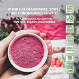 LOOV ekologiskt blåbärspulver, tillverkat av 100 % hela, frystorkade vilda blåbär skördade i skogarna i norra Europa, 113 g, utan tillsatt socker Naty Shop Dehydrated Products