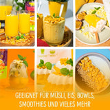 Frystorkad mango: 100g frystorkad frukt från mjuka bitar av mango utan tillsatt socker - torkad mango - torkad mango - torkad frukt - torkad frukt från NutriPur Dehydrerade produkter Naty Shop