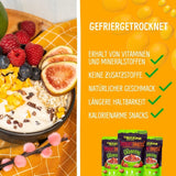 Frystorkad mango: 100g frystorkad frukt från mjuka bitar av mango utan tillsatt socker - torkad mango - torkad mango - torkad frukt - torkad frukt från NutriPur Dehydrerade produkter Naty Shop