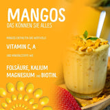 Frystorkad mango: 100g frystorkad frukt från mjuka bitar av mango utan tillsatt socker - torkad mango - torkad mango - torkad frukt - torkad frukt från NutriPur Dehydrerade produkter Naty Shop