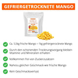 Frystorkad mango, 250g frystorkad frukt, utan tillsatser, fruktig, tillverkad i Tyskland Dehydrerade produkter Naty Shop