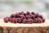 Vilda björnbär BRIX | Naturliga vilda björnbär, torkade 95 g | Great Taste Award för torkade bär | Icke-GMO, glutenfria, veganska, undanhållna vitaminer Naty Shop Dehydrerade produkter