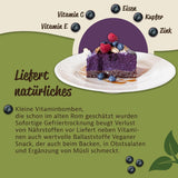 Mynatura ekologiska frystorkade vilda blåbär I Blåbär I Frukt I Bär I Naturprodukt I Ekologisk kvalitet I Påse (1x 200g) Uttorkade produkter Naty Shop