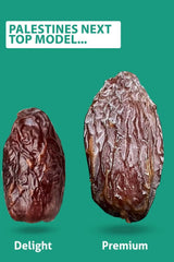 NABALI FAIRKOST FÖR ALLA Dadlar Medjool Medjoul från Palestina - 100% naturlig vegansk aromatisk traditionell färsk och orientalisk I utan konserveringsmedel 5 kg (1 förpackning), Small/Medium Dehydrerade produkter Naty Shop