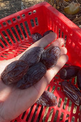 NABALI FAIRKOST FÖR ALLA Dadlar Medjool Medjoul från Palestina - 100% naturlig vegansk aromatisk traditionell färsk och orientalisk I utan konserveringsmedel 5 kg (1 förpackning), Small/Medium Dehydrerade produkter Naty Shop