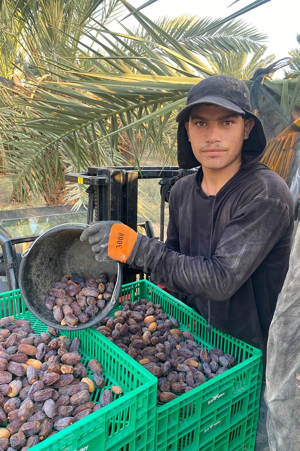 NABALI FAIRKOST FÖR ALLA Medjoul - Medjool Dadlar Val I - 100% naturlig aromatisk fräsch orientalisk mjuk I söt som honung och karamelliserad I Ursprung: Palestina I (1x1KG) Dehydrerade produkter Naty Shop