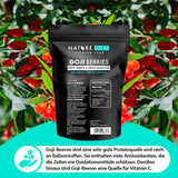 Nature Diet - Gojibär 1000 g | Torkade bär | Hälsosamt mellanmål Naty Shop uttorkade produkter