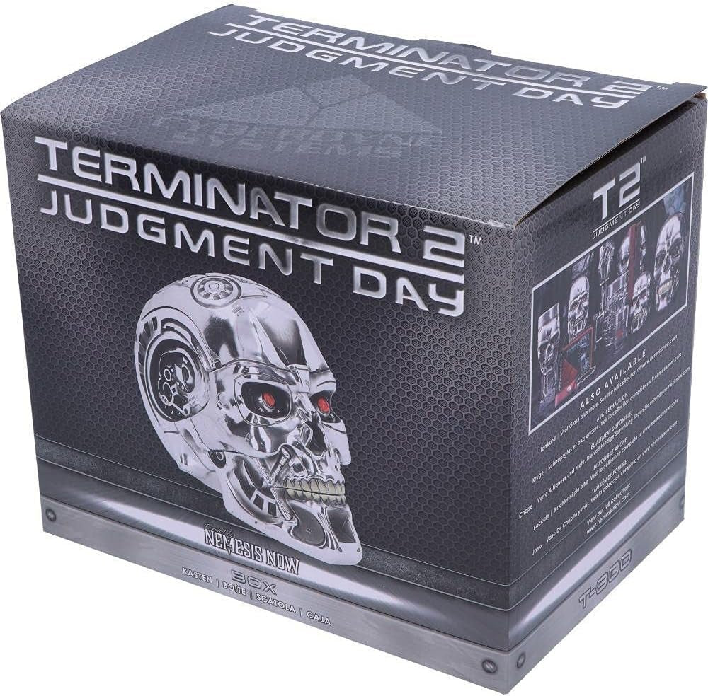 Nemesis Now, T Box, 18 cm, Silver, Resin, One Size statyetter och skulpturer Naty Shop