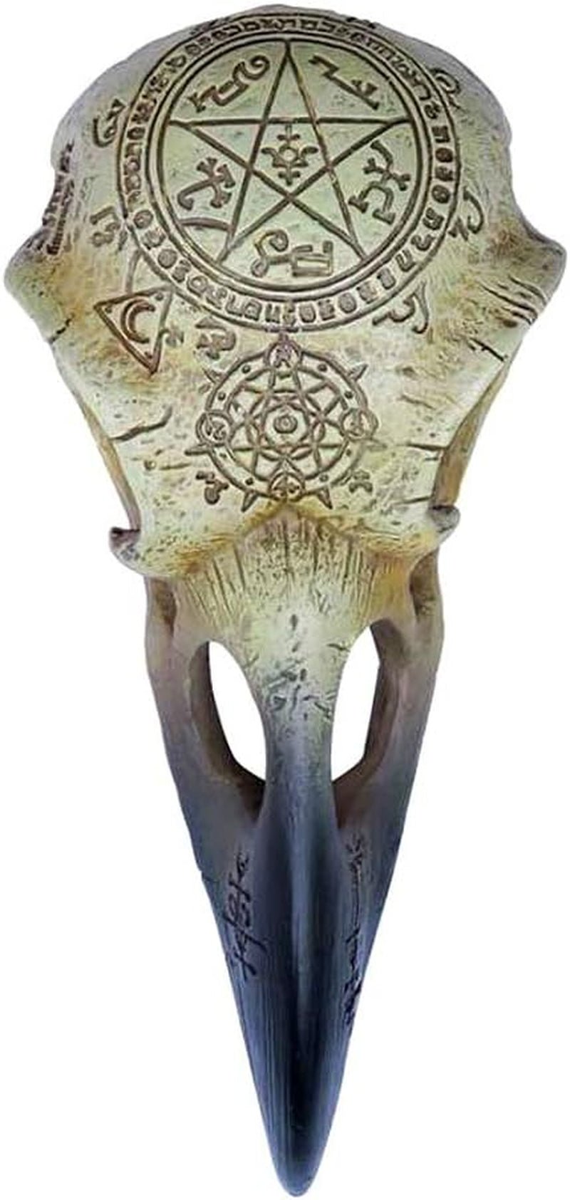Omega Raven Skull Statyetter och skulpturer Naty Shop