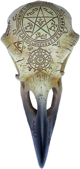 Omega Raven Skull Statyetter och skulpturer Naty Shop