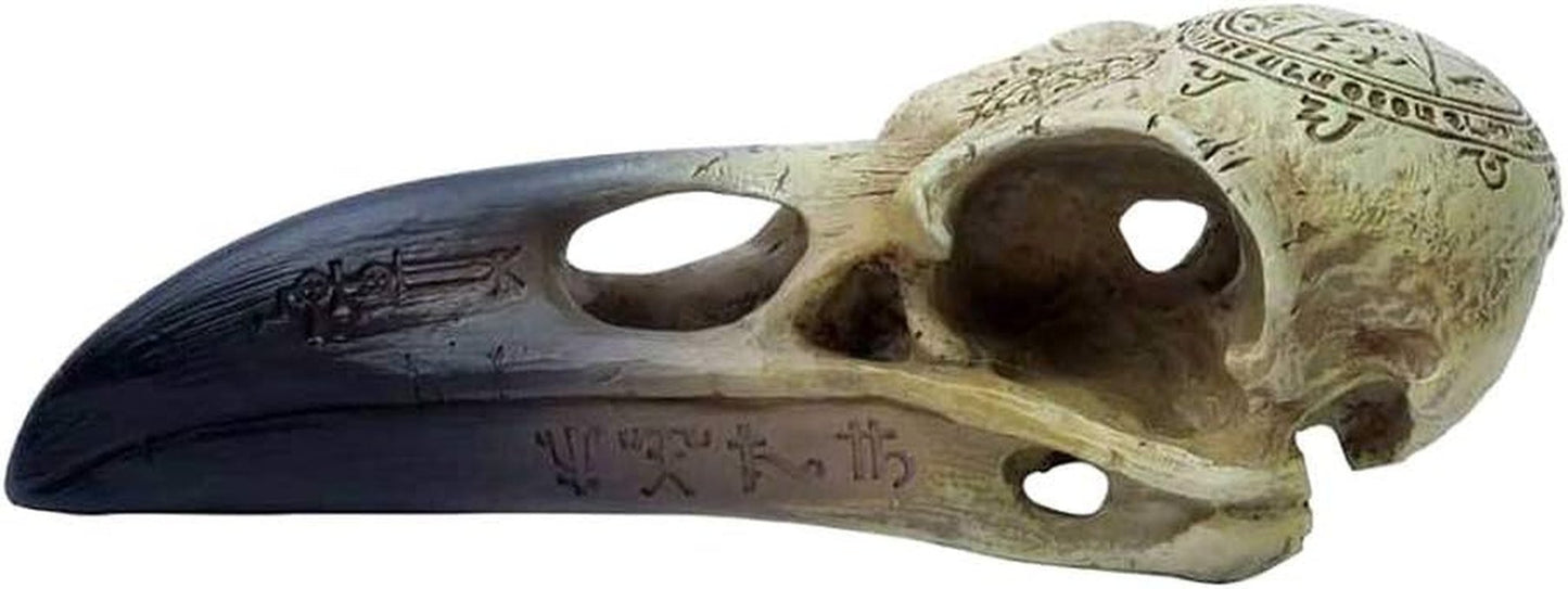 Omega Raven Skull Statyetter och skulpturer Naty Shop