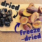 Frystorkade plommon Frystorkade plommon 100% naturliga | Inget tillsatt socker Hälsosamt frystorkat godis | Frystorkade plommon Frystorkade frukter Frystorkade frukter ZingyZoo Dehydrerade produkter Min butik