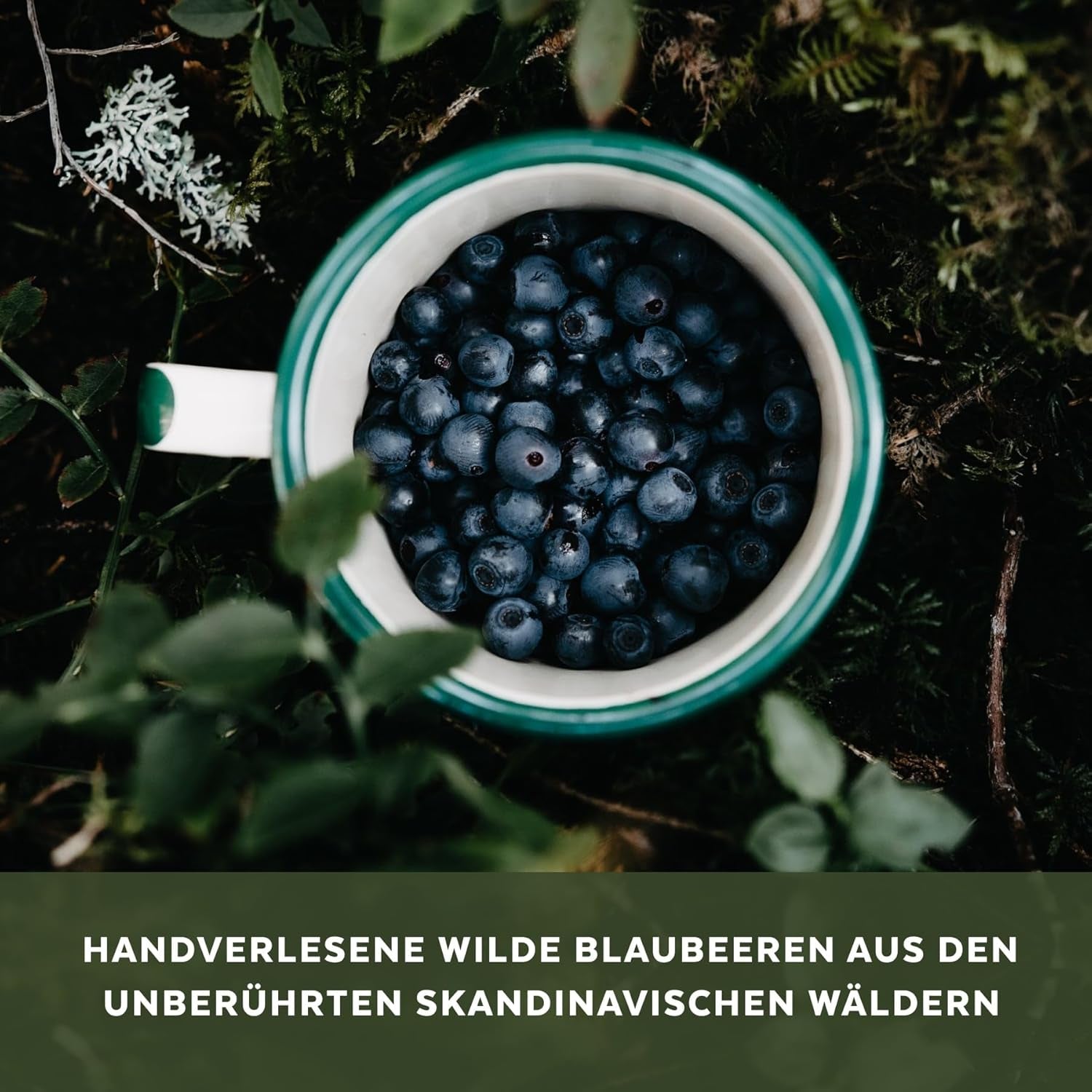 Ekologiskt vilda blåbärspulver, frystorkade hela blåbär, 100 % rå matkvalitet, rik på antioxidanter och vitamin C, utan tillsatt socker, skördad i norra Europa Torkade produkter Naty Shop