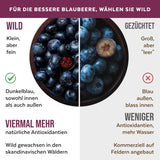 Ekologiskt vilda blåbärspulver, frystorkade hela blåbär, 100 % rå matkvalitet, rik på antioxidanter och vitamin C, utan tillsatt socker, skördad i norra Europa Torkade produkter Naty Shop