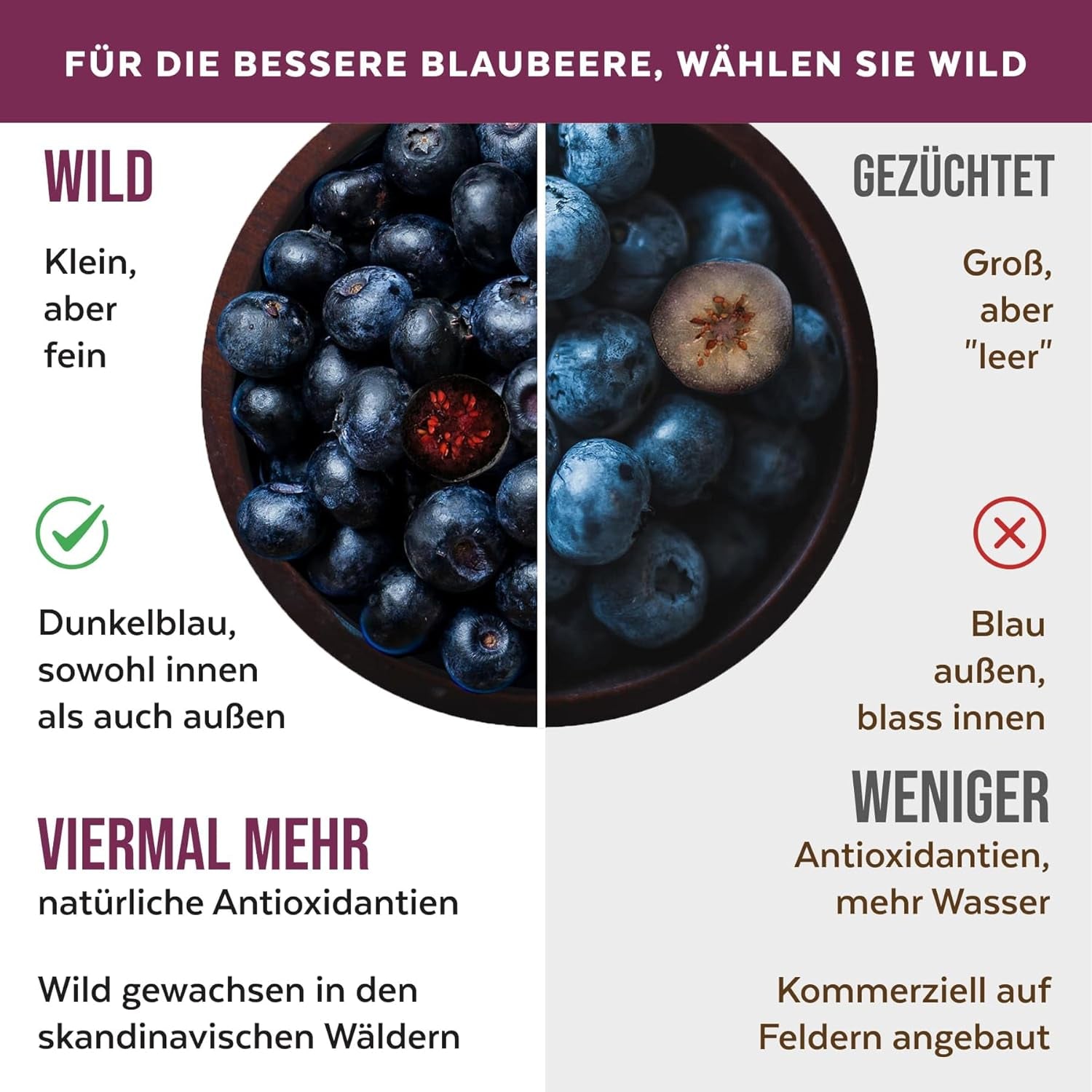 Ekologiskt vilda blåbärspulver, frystorkade hela blåbär, 100 % rå matkvalitet, rik på antioxidanter och vitamin C, utan tillsatt socker, skördad i norra Europa Torkade produkter Naty Shop