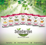 Seba Garden Premium frystorkade jordgubbar, läckra medelhavsjordgubbar, icke-GMO och vegan (100 g) Torkade produkter Min butik