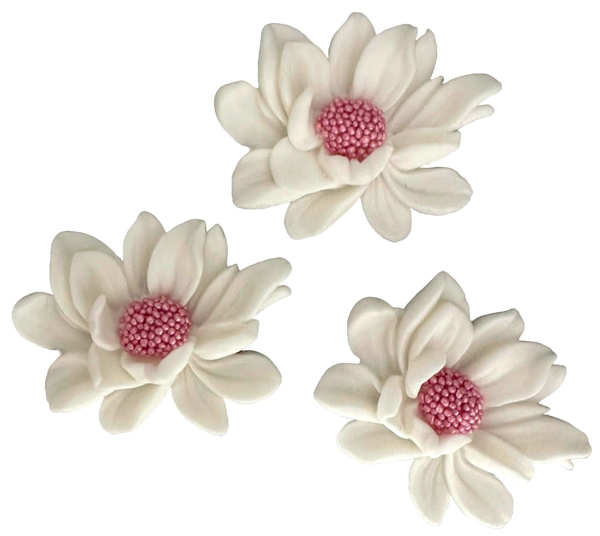 Set med 3 ätliga sockerdekorationer, vita blommor Sugar Paste Decorations Nati Shop