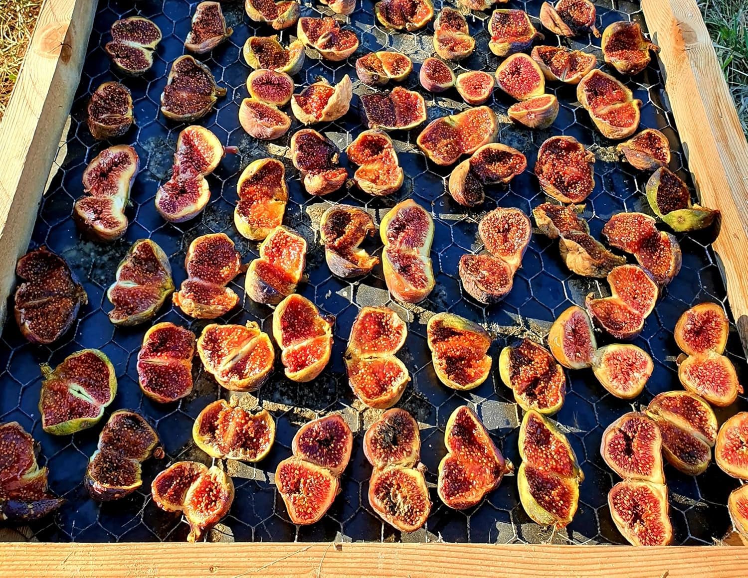 Mundo Feliz torkade fikon från ekologisk odling, 2 x 500 g Naty Shop torkade produkter