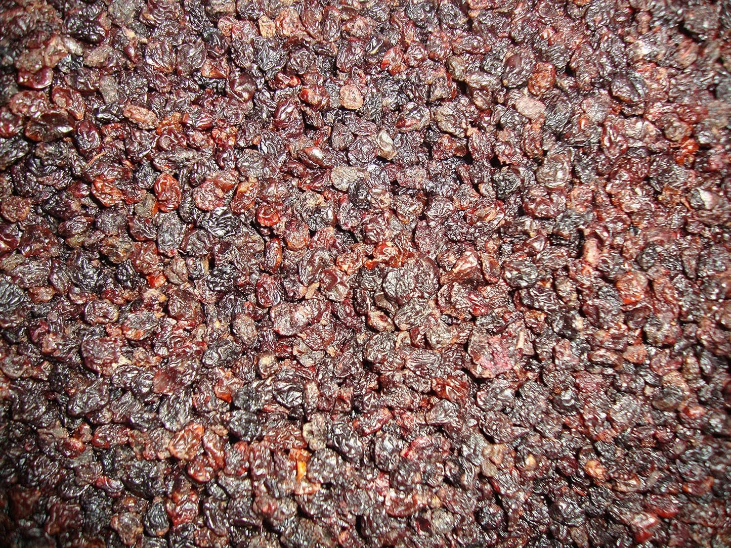 Sultana druvor Vinbär 1 kg I Torkade sultana druvor I Corinthian sultana druvor I Grekiskt ursprung | Söta och söta kärnfria Sultana-druvor | Torkade, torkade eller torkade druvor | Inget socker | Dehydrerade produkter Naty Shop Standardtitel