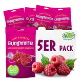 Summer Frystorkade Jordgubbar - Paket med 5 - Sockerfritt, 100 % naturligt, läckra knapriga mellanmål för barn och vuxna, idealiskt för flingor och lunchlådor (55 g) Torkade produkter Naty Shop Paket med 5 hallon