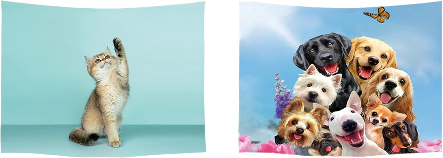 Tapestry ulticool house beach sea palm island Hem - Tillbehör och dekorationer Naty Shop Hund Katt