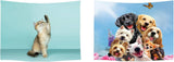 Tapestry ulticool house beach sea palm island Hem - Tillbehör och dekorationer Naty Shop Hund Katt