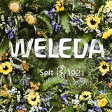 WELEDA Organic Baby Calendula Care Cream Body & Face 75ml - Ansiktskräm / hudkräm för naturkosmetik med sesamolja och lanolin för torr hudvård. Fuktgivande vårdkräm för spädbarn och barn Barn - Bad och Hudvård Naty Shop